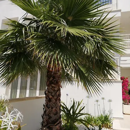 Apartment Valentina Int 4 - Rooftop Sea View Infinity Pool Santa Maria al Bagno